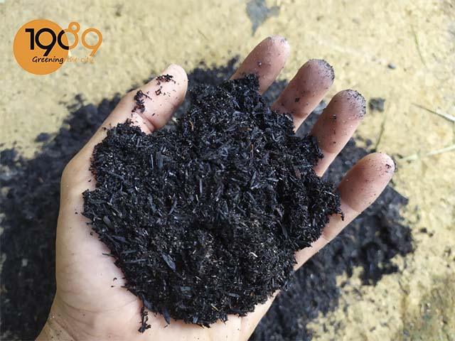 giá thể tro trấu hun