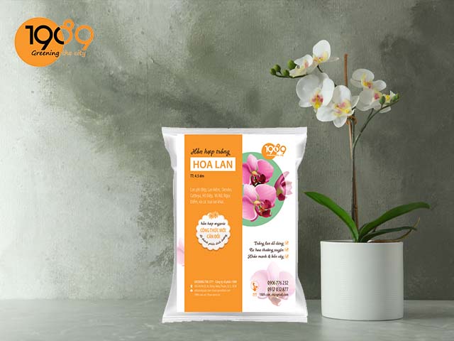 giá thể trồng lan trộn sẵn tại tphcm