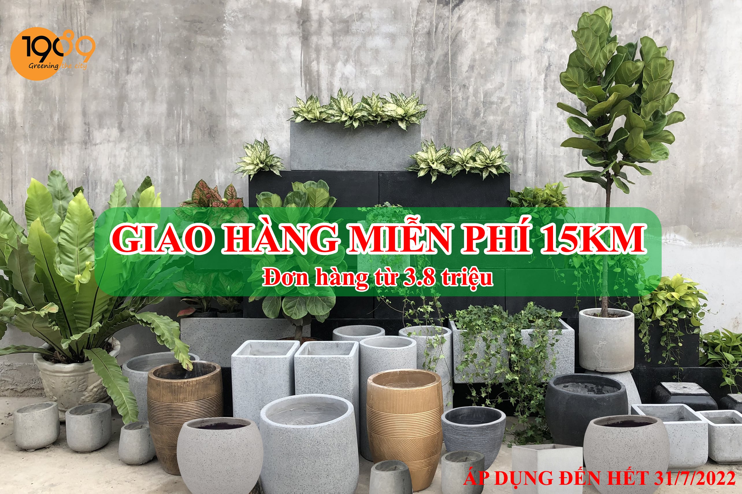 Miễn phí giao chậu xi măng đá mài 15km
