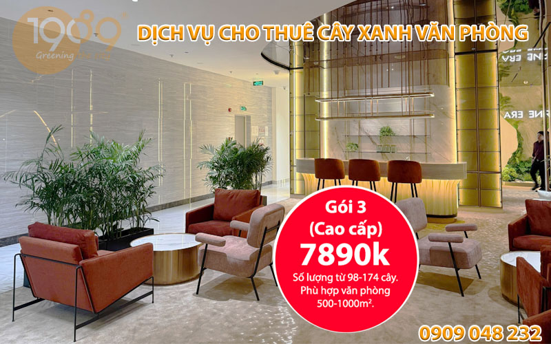 Dịch Vụ Cho Thuê Cây Xanh Văn Phòng Cao Cấp – Dịch Vụ Trọn Gói Chuyên Nghiệp
