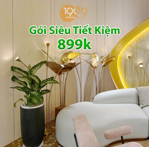 Gói Thuê Cây Siêu Tiết Kiệm (899k/tháng)