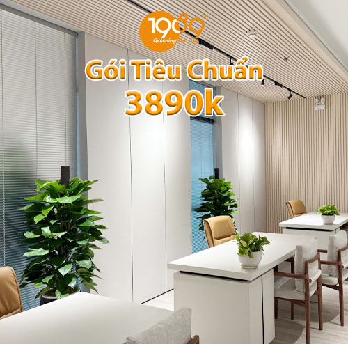 Gói Thuê Cây Tiêu Chuẩn (3890k/tháng)