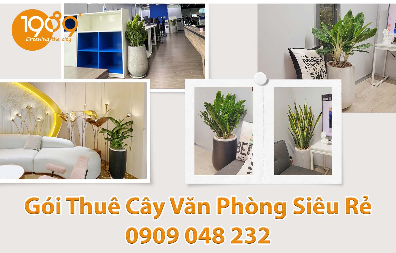 Dịch Vụ Cho Thuê Cây Xanh Văn Phòng Cao Cấp – Dịch Vụ Trọn Gói Chuyên Nghiệp
