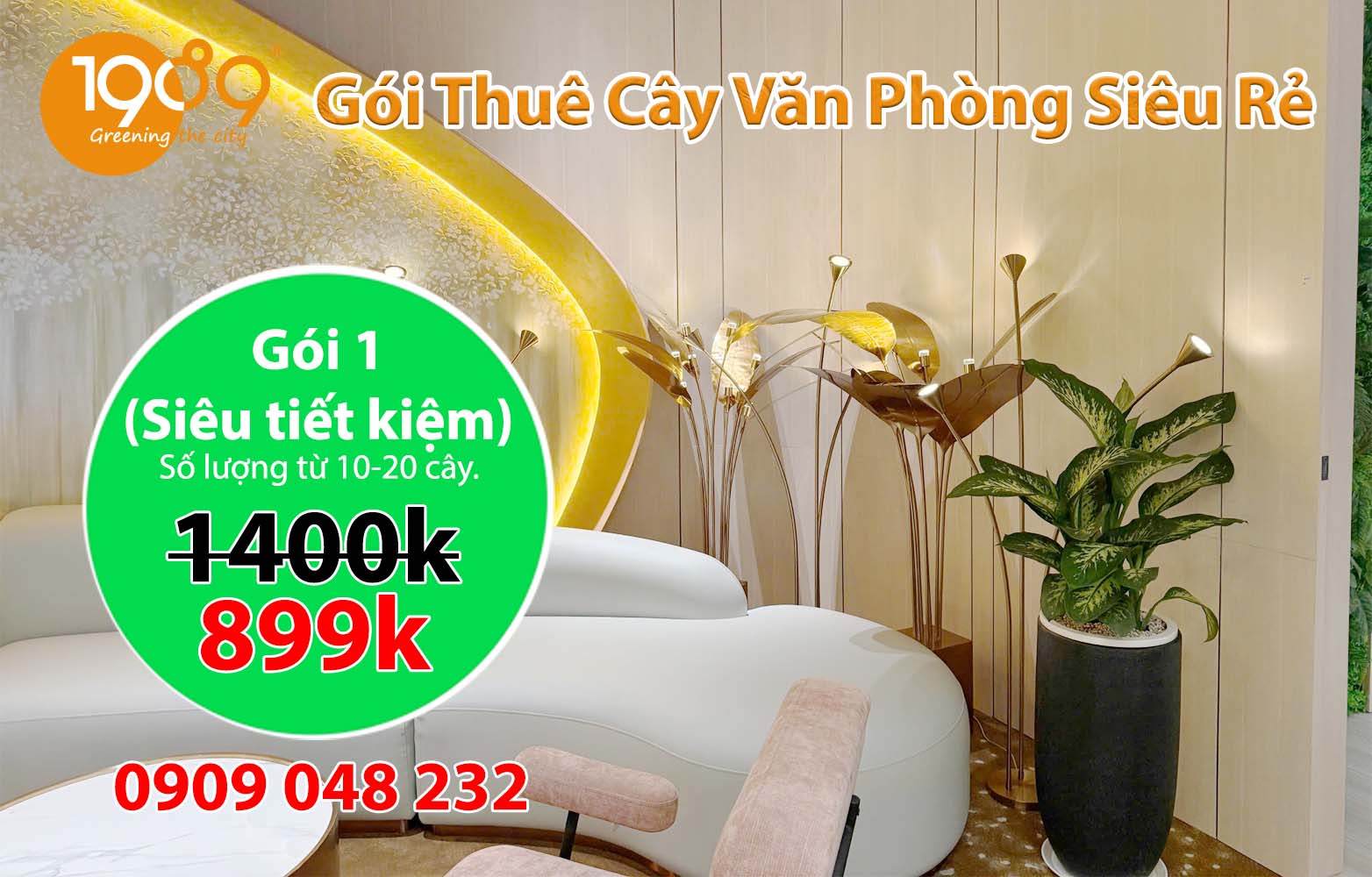 Gói Thuê Cây Văn Phòng Siêu Rẻ