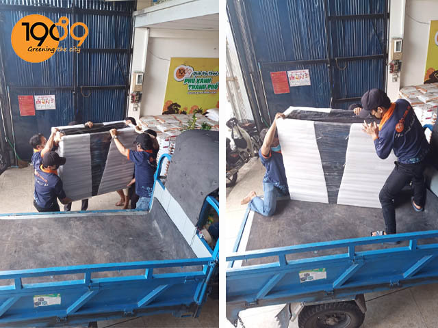hỗ trợ vận chuyển chậu trồng cây lớn