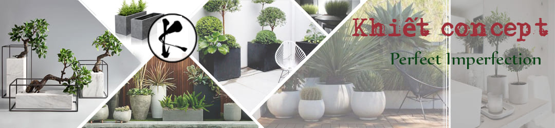 Khiet concept - khu vực Tân Bình