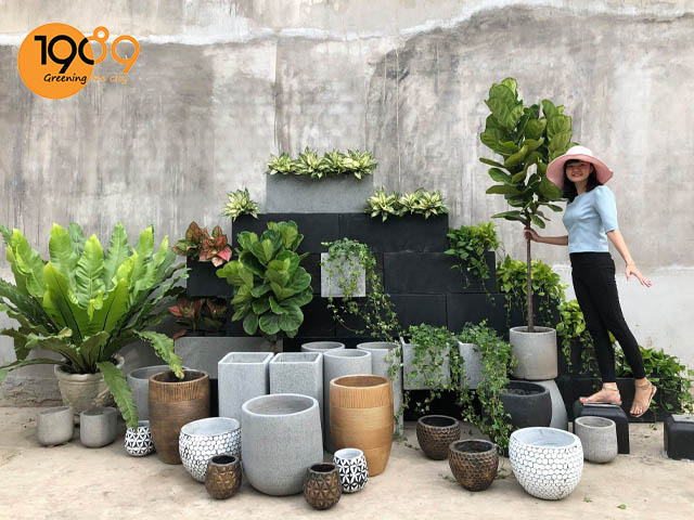 Xưởng Sản Xuất Chậu Xi Măng Đá Mài