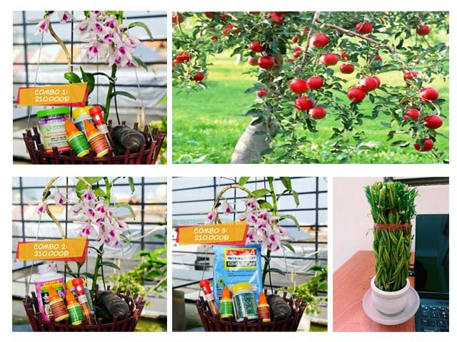 lucky garden nơi mua bán đất trồng cây rau ở quận bình thạnh.jpg