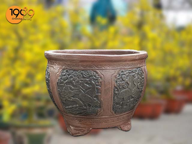 Mẫu chậu trồng cây cảnh trang trí ngày tết tròn lục giác