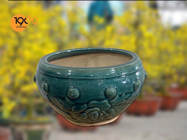 Mẫu chậu trồng cây cảnh trang trí ngày tết tròn