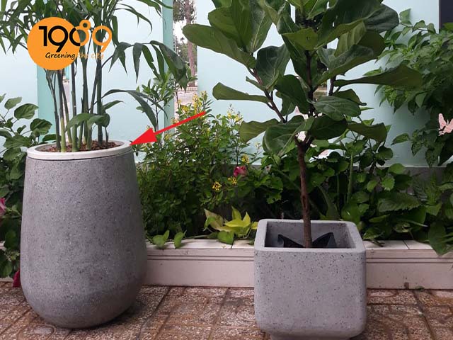 miếng đệm nhựa để trồng chậu xi măng vuông trụ trồng cây cảnh