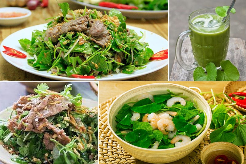 Cách Trồng Rau Má Tại Nhà Thật Đơn Giản