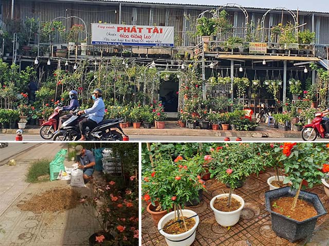 mua bán đất trồng cây - trồng rau ở quận 10 phát tài.jpg