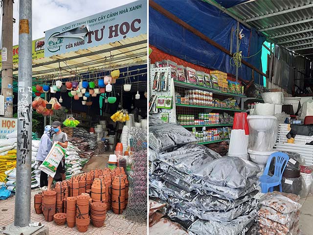 mua bán đất trồng cây - trồng rau ở quận 10 tư học.jpg