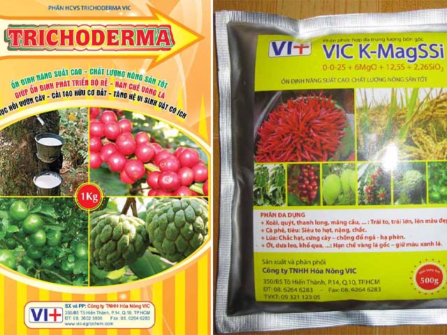 mua bán đất trồng cây - trồng rau ở quận 10 vic.jpg