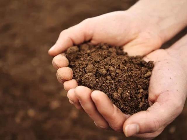 mua bán đất trồng cây - trồng rau q10.jpg