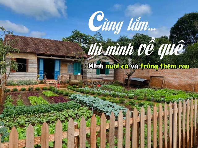 mua đất tốt trồng rau củ sạch an toàn tại nhà tốt nhất
