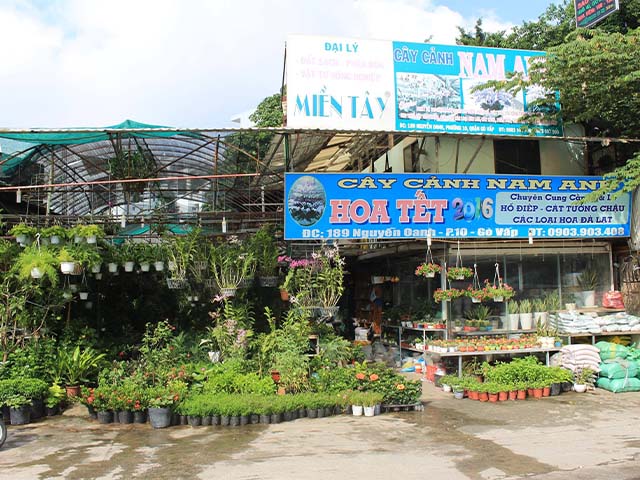 nam anh mua bán đất trồng cây - trồng rau ở quận Gò Vấp TPHCM