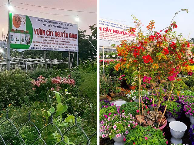 Nguyễn Oanh mua bán đất trồng cây - trồng rau ở quận Gò Vấp TPHCM