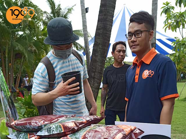 nơi bán đất trồng kiểng lá đột biến chất lượng hcm