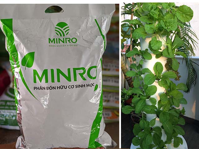 nông phố xanh mua bán đất trồng cây, đất trồng rau bình tân.jpg