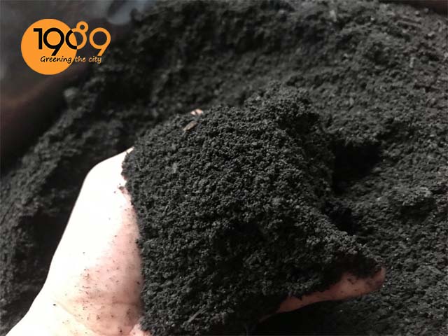 phân gà vi sinh hữu cơ trồng cây