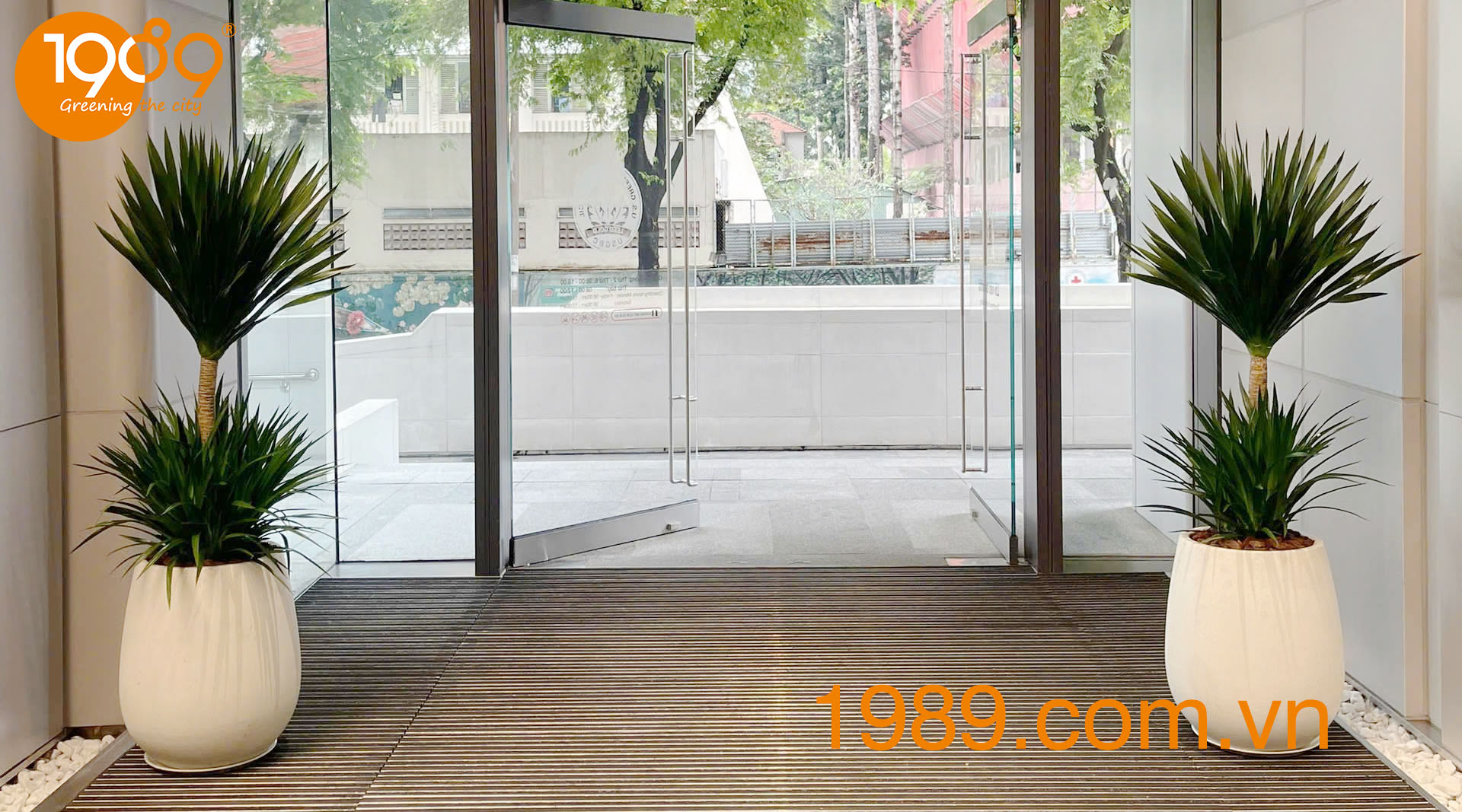 Thuê cây nội thất