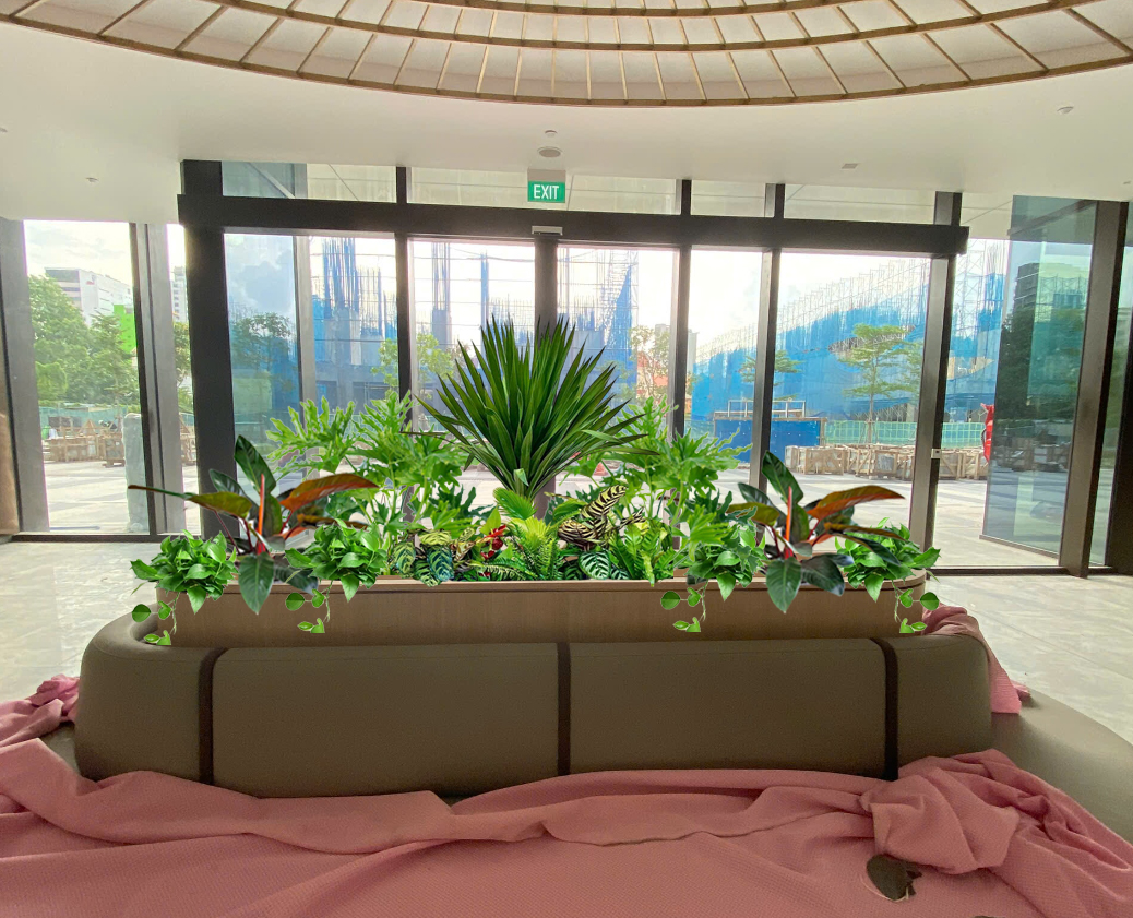 Biến không gian làm việc thành ốc đảo xanh: dịch vụ thuê cây văn phòng dẫn đầu xu hướng bền vững cho doanh nghiệp hiện đại