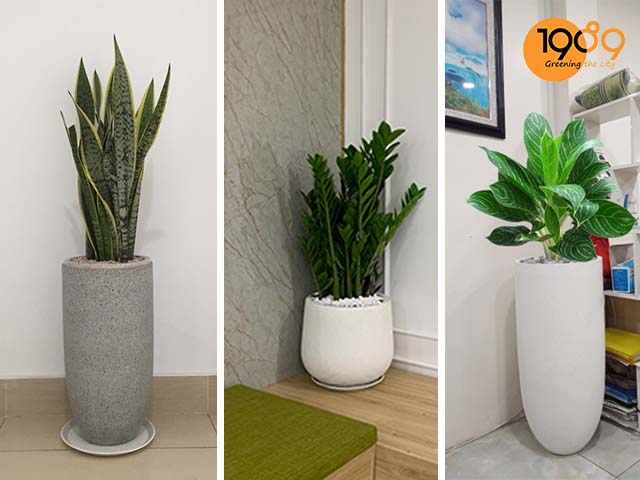 Phong cách thiết kế đồng quê chậu cảnh đá mài đẹp