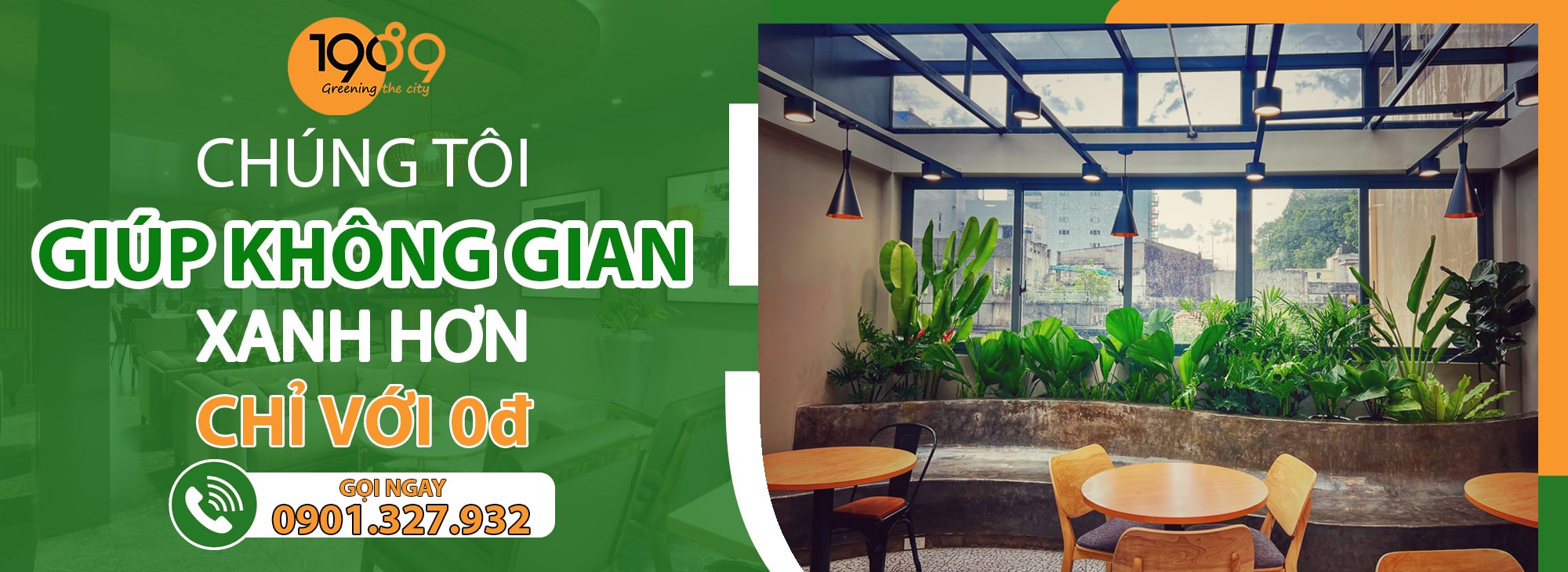 Dịch vụ cho thuê cây xanh văn phòng giá 0đ