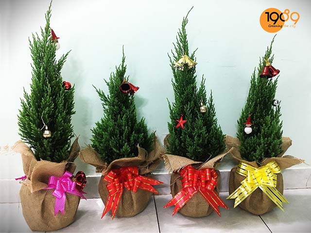quà tặng noel cây sơn tùng giá rẻ đẹp hcm