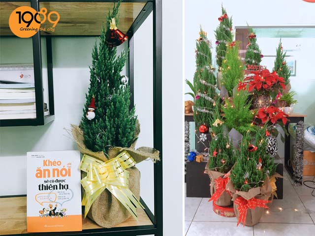 quà tặng noel cây sơn tùng giá rẻ hcm