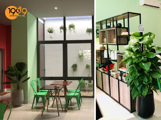 Quán cafe Xanh Lá ở Long Thành, Đồng Nai sử dụng chậu tròn 1989