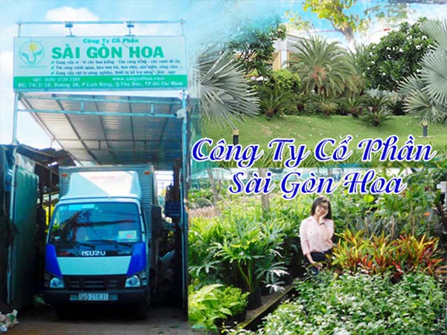 3. Sài Gòn Hoa - khu vực Thủ Đức