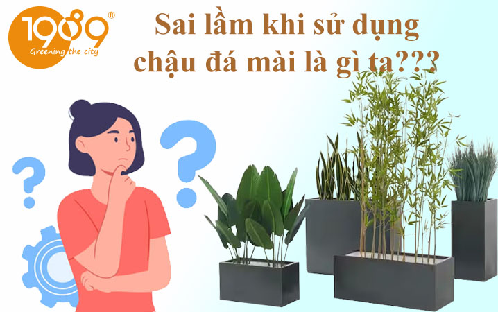 sai lầm khi sử dụng chậu đá mài