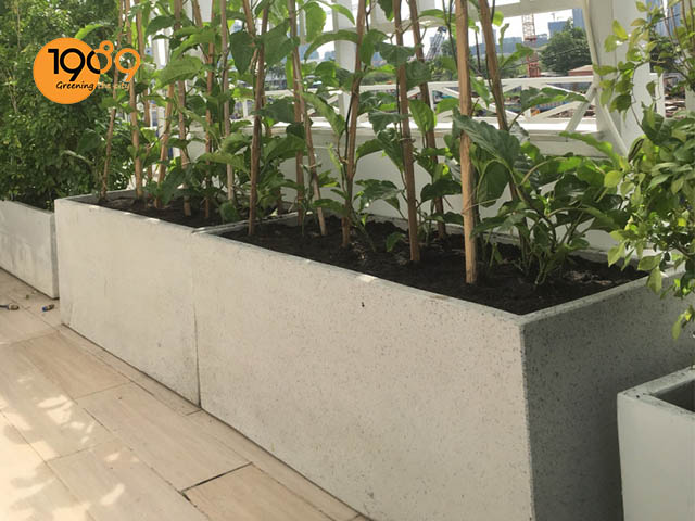 sản xuất chậu đá mài chữ nhật hcm