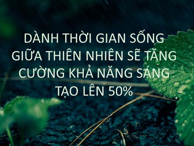 sáng tạo giữa thiên nhiên