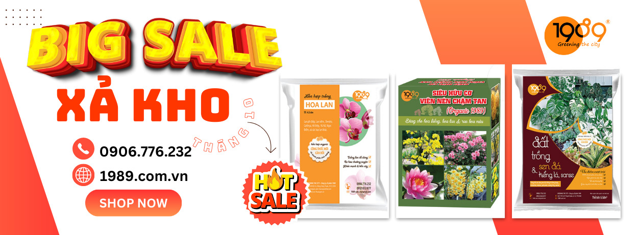 siêu sale đất trồng cây tháng 10