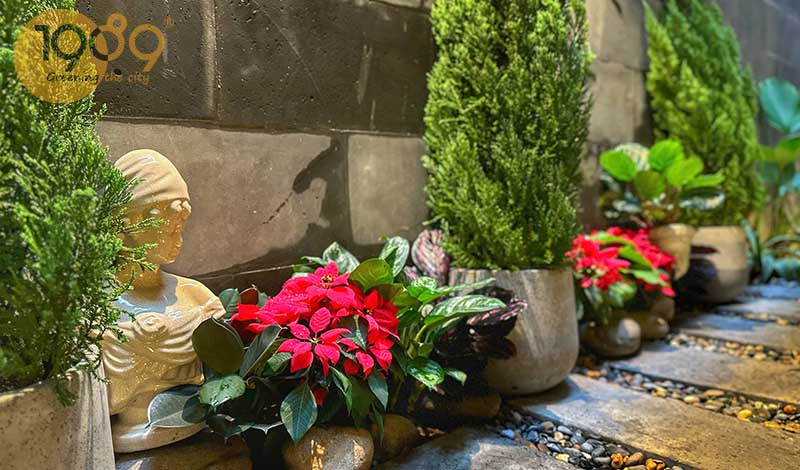 Dịch Vụ Thiết Kế Thi Công Cảnh Quan Noel 2025 | 89 Landscape