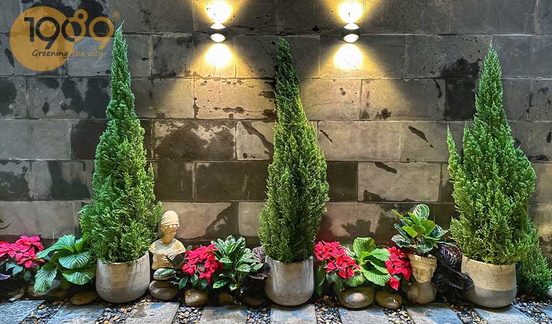 Dịch Vụ Thiết Kế Thi Công Cảnh Quan Noel 2025 | 89 Landscape