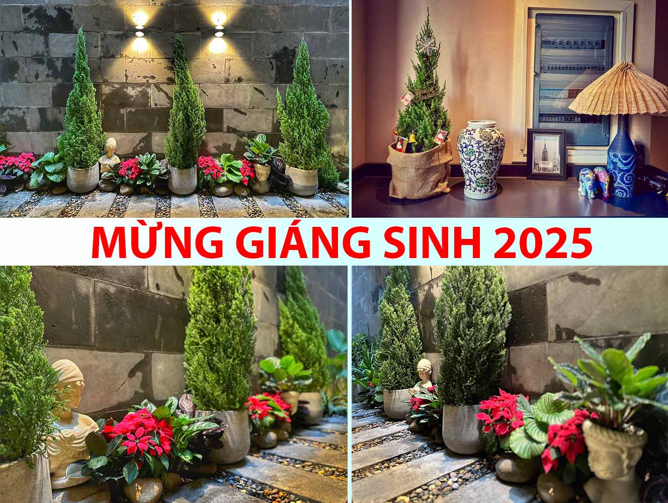 Dịch Vụ Thiết Kế Thi Công Cảnh Quan Noel 2025 | 89 Landscape