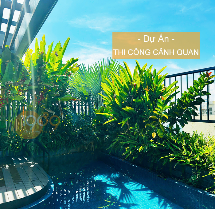 Thi Công Cảnh Quan Chuyên Nghiệp – Trọn Gói Từ Thiết Kế Đến Bàn Giao