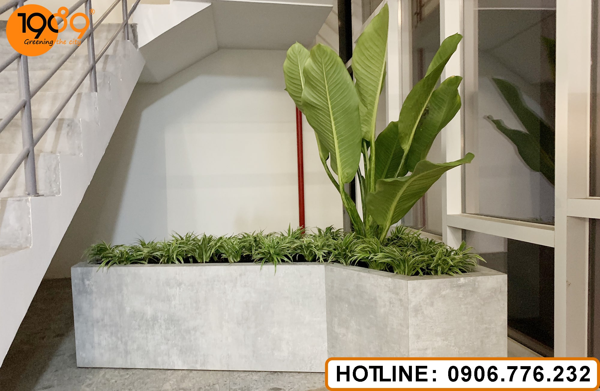 Bộ Sưu Tập Chậu Xi Măng Đá Mài 2025