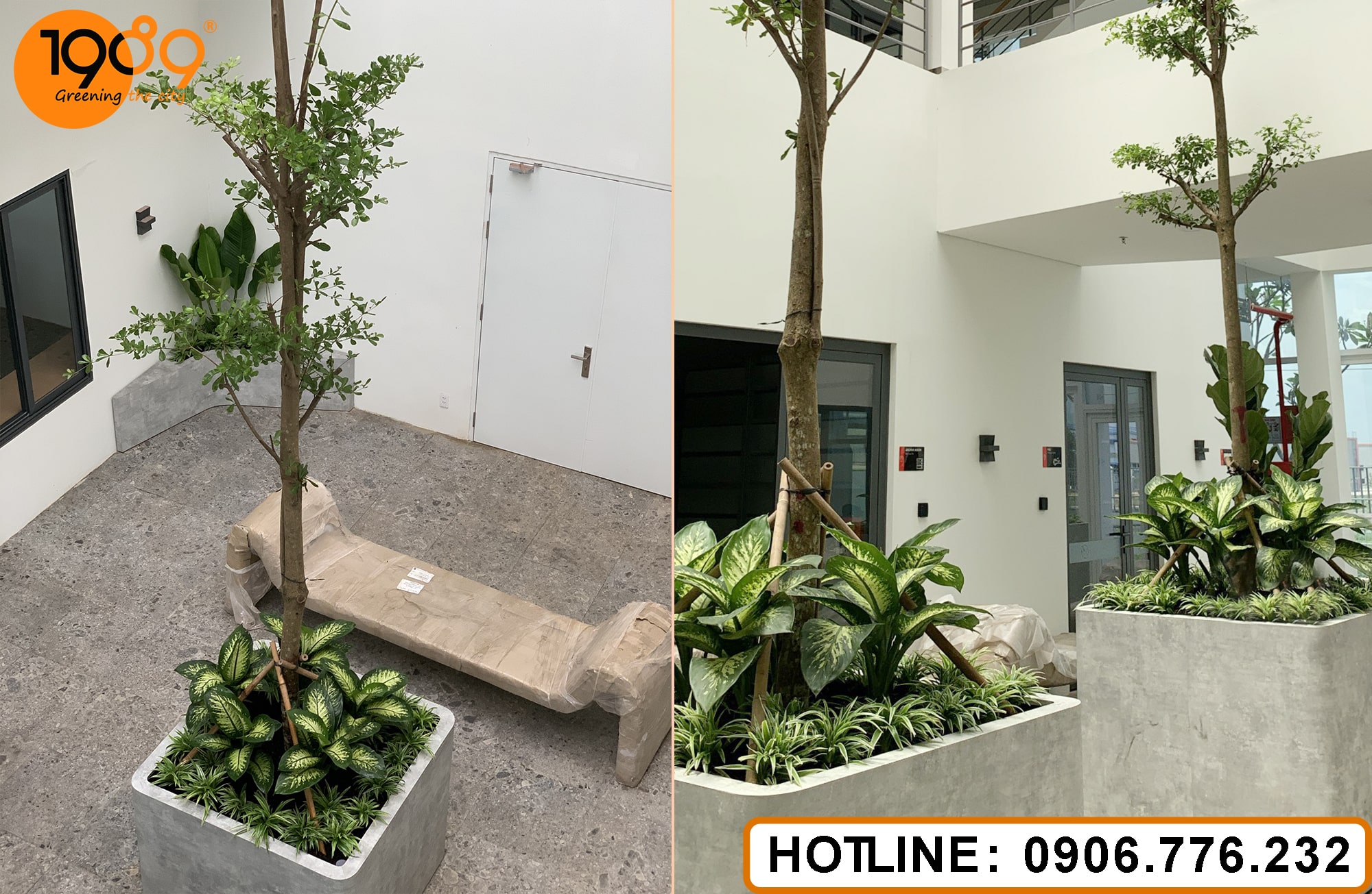 Văn Phòng Xanh: Hành Trình Bền Vững Của Doanh Nghiệp Trong Kỷ Nguyên Mới