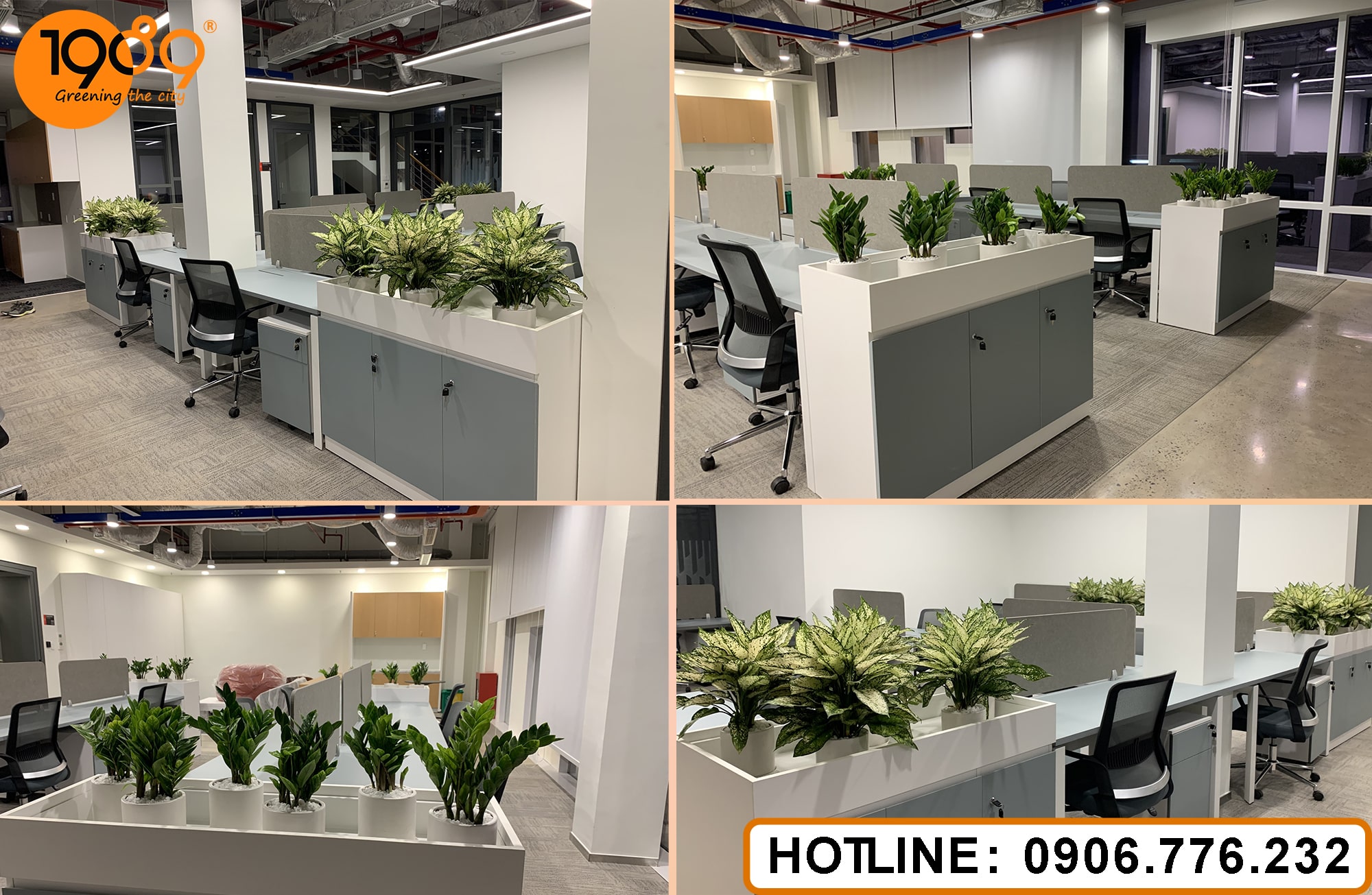 Bí Kíp Chăm Sóc Cây Cảnh Văn Phòng: Hướng Dẫn Từ A-Z Để Góc Làm Việc Xanh Mát