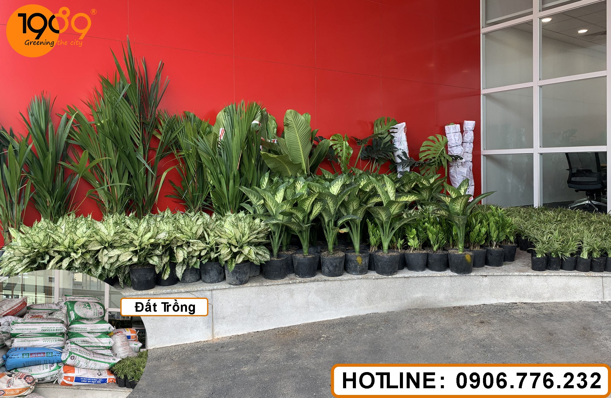 cây xanh thi công cảnh quan