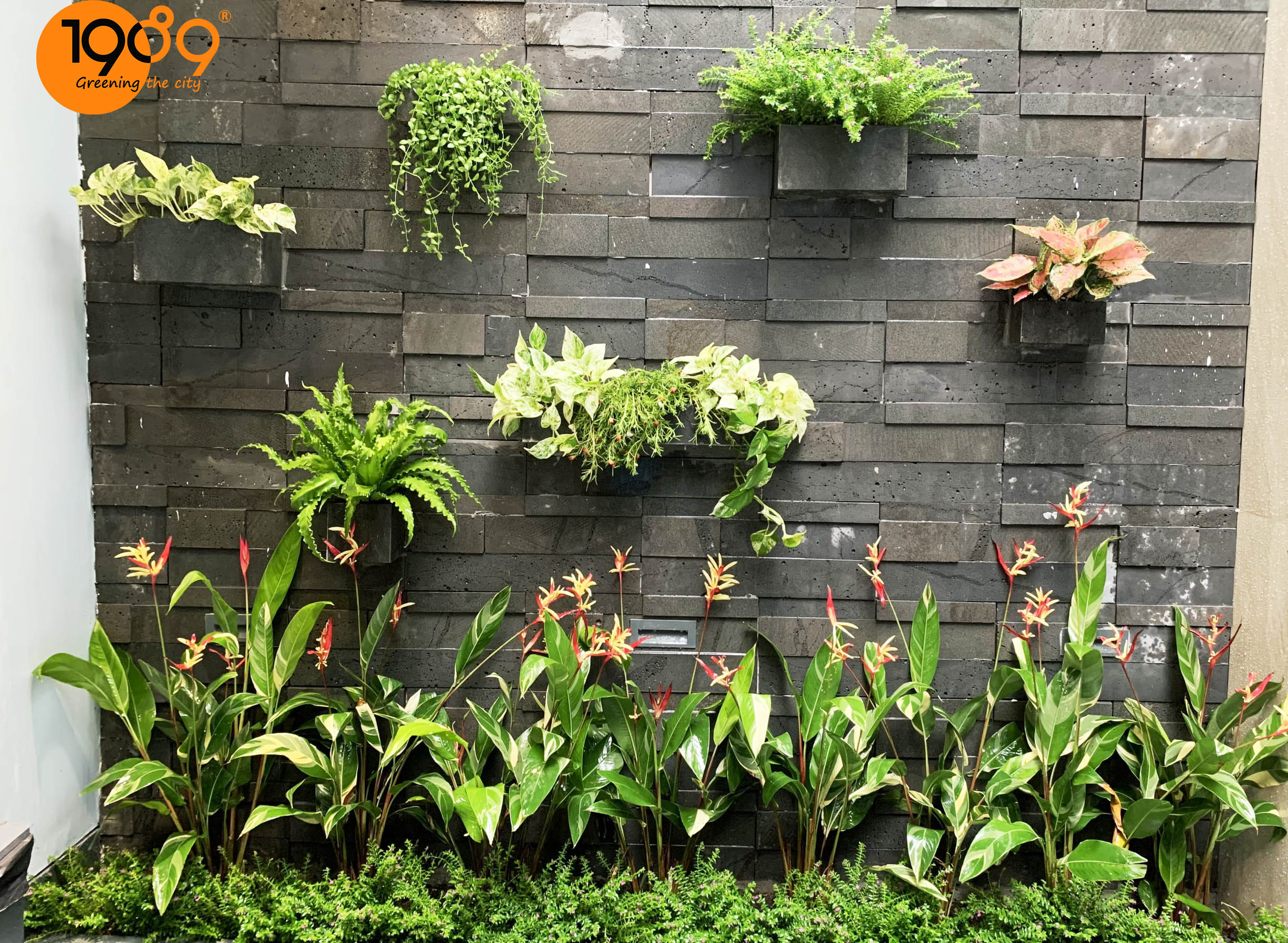 Thiết Kế Ban Công Xanh Từ Cải Tạo Tối Ưu Đến Trồng Mới