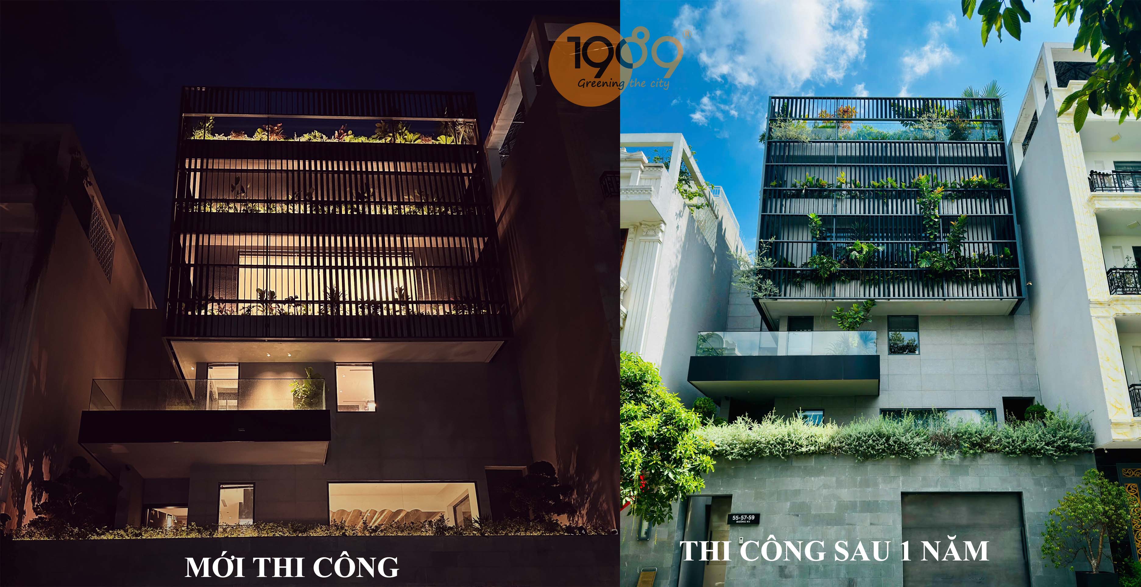 Thi Công Cảnh Quan Chuyên Nghiệp – Trọn Gói Từ Thiết Kế Đến Bàn Giao