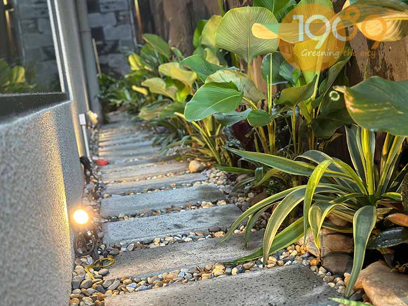 Thiết Kế Thi Công Cảnh Quan Sân Vườn Biệt Thự Nhà Phố