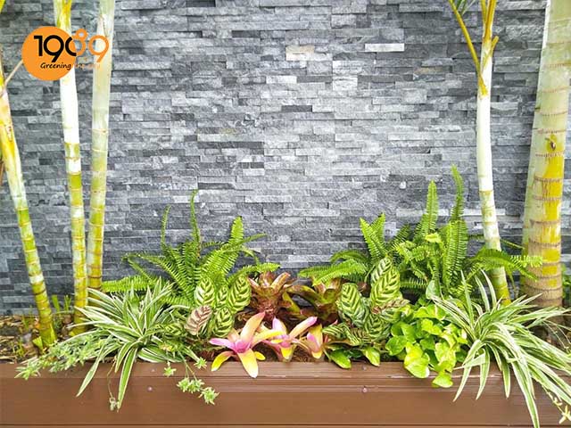 thue cay canh noi that tphcm